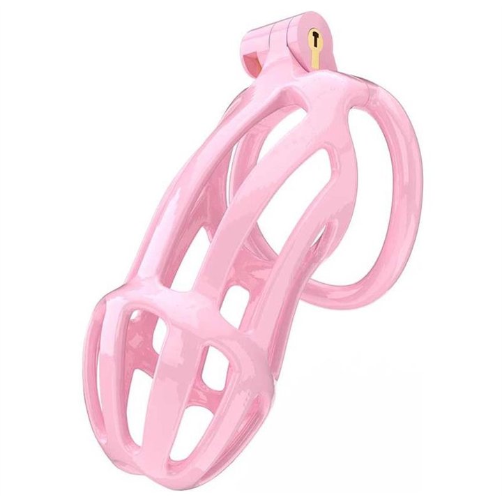 Penis Cage PC02 Pink - R2599 - Teknashop Ltd