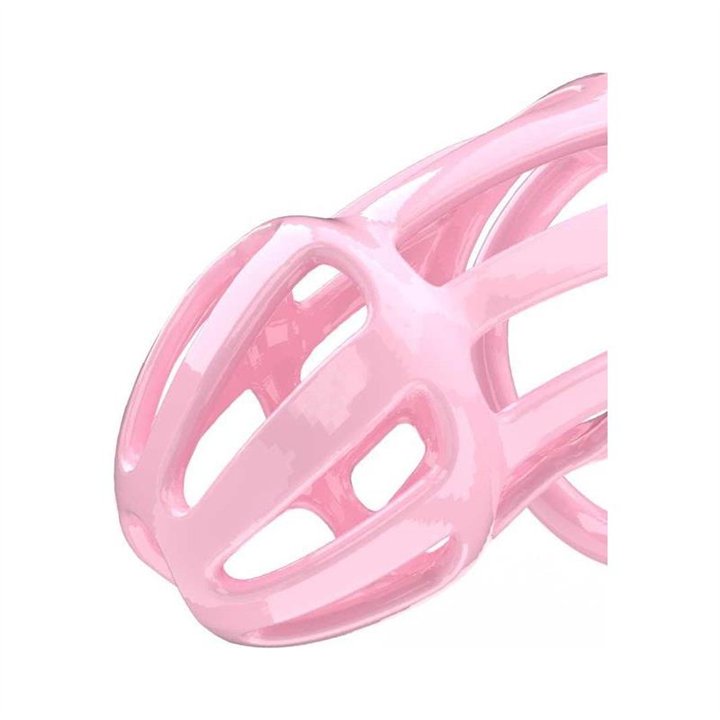 Penis Cage PC02 Pink - R2599 - Teknashop Ltd