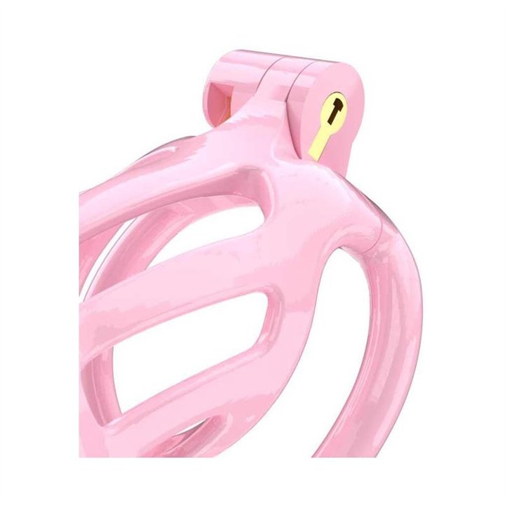 Penis Cage PC02 Pink - R2599 - Teknashop Ltd