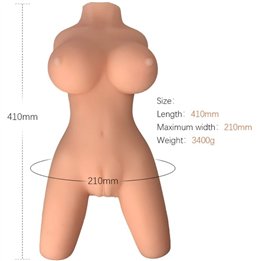 ARMONY - REALISTIC FEMALE TORSO MODEL 8 - D-238264 - Teknashop Ltd