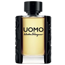 Salvatore Ferragamo, Uomo, Eau De Toilette, For Men, 100 ml - Teknashop Ltd