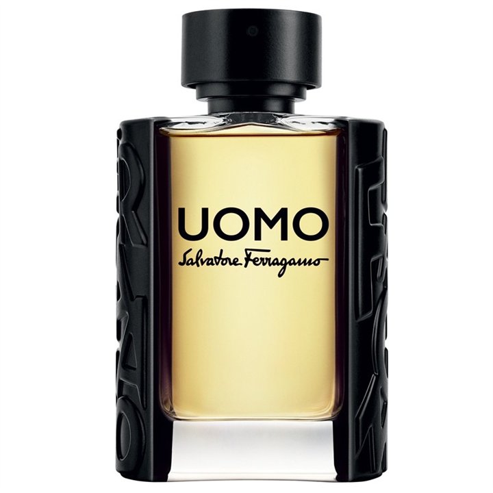 Salvatore Ferragamo, Uomo, Eau De Toilette, For Men, 100 ml - Teknashop Ltd