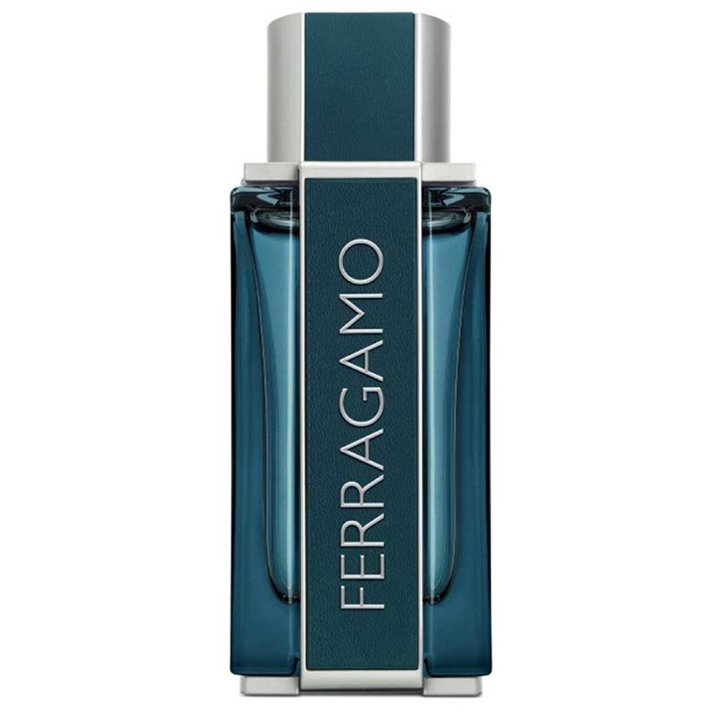 Salvatore Ferragamo, Intense Leather, Eau De Parfum, For Men, 100 ml *Tester - Teknashop Ltd