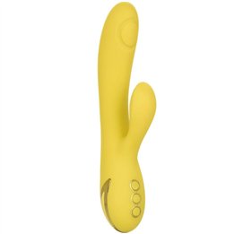 CALEXOTICS - SAN DIEGO SEDUCTION - D-232196 - Teknashop Ltd