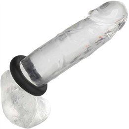CALEXOTICS - ALPHA PROLONG MEDIUM RING BLACK - D-239235 - Teknashop Ltd