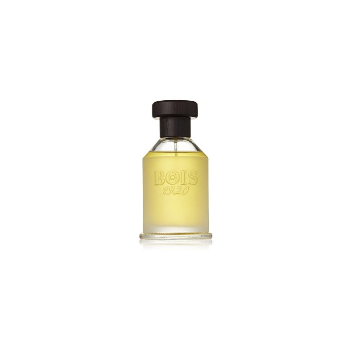 Bois 1920, Vetiver Ambrato, Eau De Toilette, Unisex, 100 ml - Teknashop Ltd