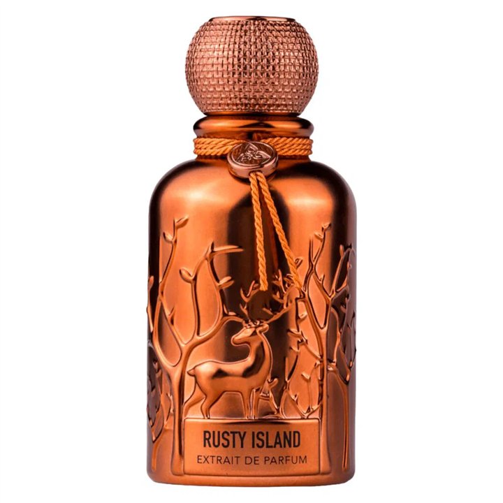Auraa Desire, Rusty Island, Extrait De Parfum, For Men, 100 ml - Teknashop Ltd