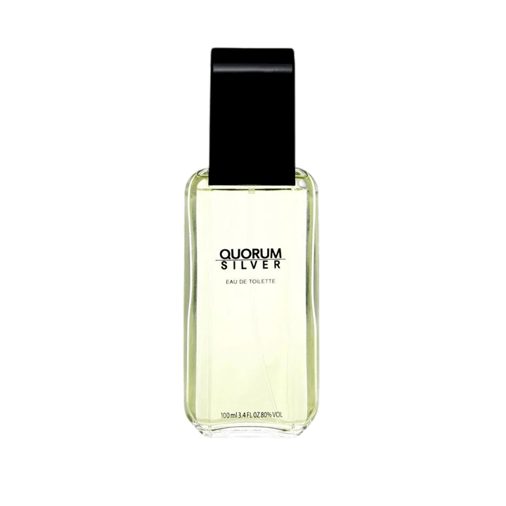 Antonio Puig, Quorum Silver, Eau De Toilette, For Men, 100 ml