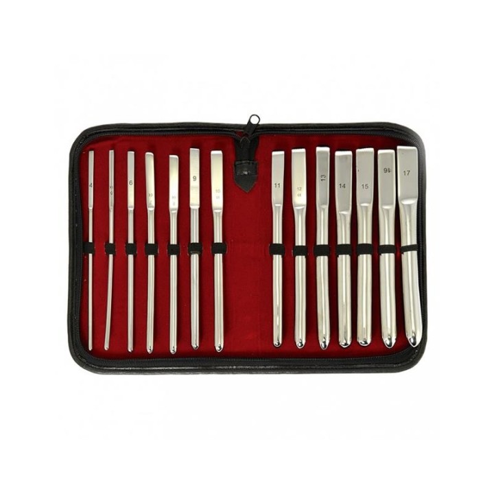 Set of Ureter Dilator 14 Pieces - R7273
