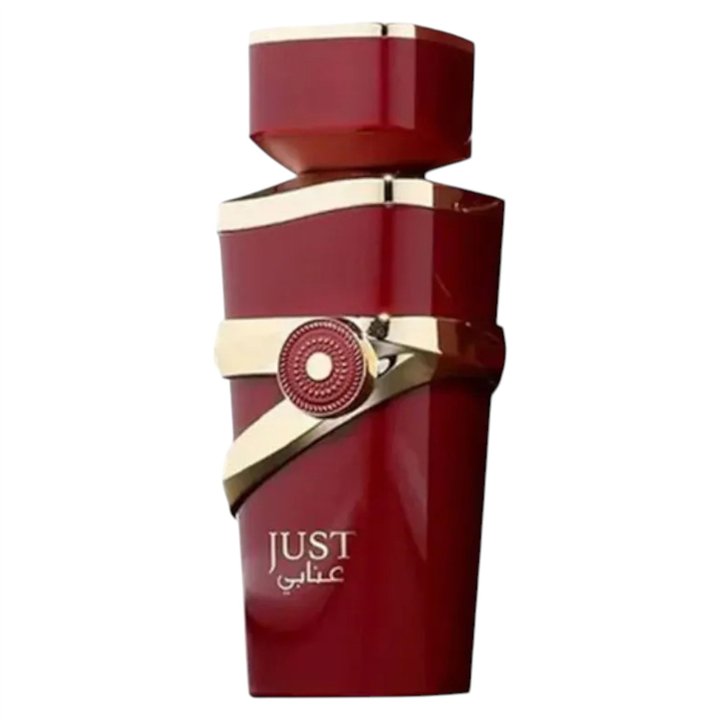 Fragrance World, Just Anabi, Eau De Parfum, For Women, 100 ml - Teknashop Ltd