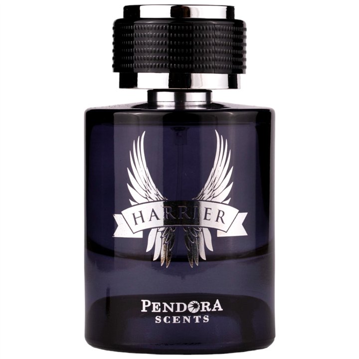 Pendora Scents, Harrier, Eau De Parfum, For Men, 100 ml - Teknashop Ltd