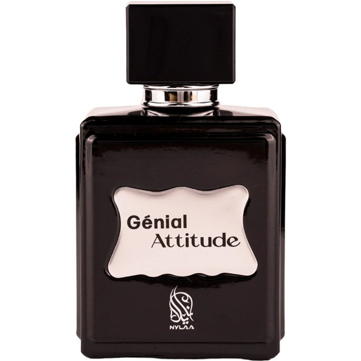 Nylaa, Genial Attitude, Eau De Parfum, For Men, 100 ml - Teknashop Ltd