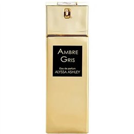 Alyssa Ashley Ambre Gris Eau De Perfume Spray 100ml - unisex - Teknashop Ltd