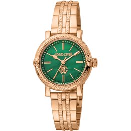ROBERTO CAVALLI BY FRANCK MULLER MOD. RV1L193M0071 - WW.RV1L193M0071