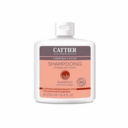 Paris Cattier Shampoo For Oily Hair 250ml - unisex - Teknashop Ltd