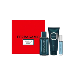 Set Salvatore Ferragamo: Intense Leather, Eau De Parfum, For Men, 100 ml + Intense Leather, Eau De Parfum, For Men, 10 ml + Inte