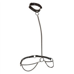 CALEXOTICS - EUPHORIA CHAIN HALTER COLLAR & LEASH PLUS SIZE - D-241471