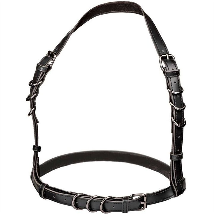 CALEXOTICS - EUPHORIA PLUS SIZE HALTER BUCKLE HARNESS BLACK - D-239247 - Teknashop Ltd