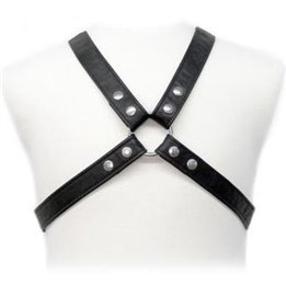 LEATHER BODY - LASIC HARNESS IN GARMENT - D-205472 - Teknashop Ltd