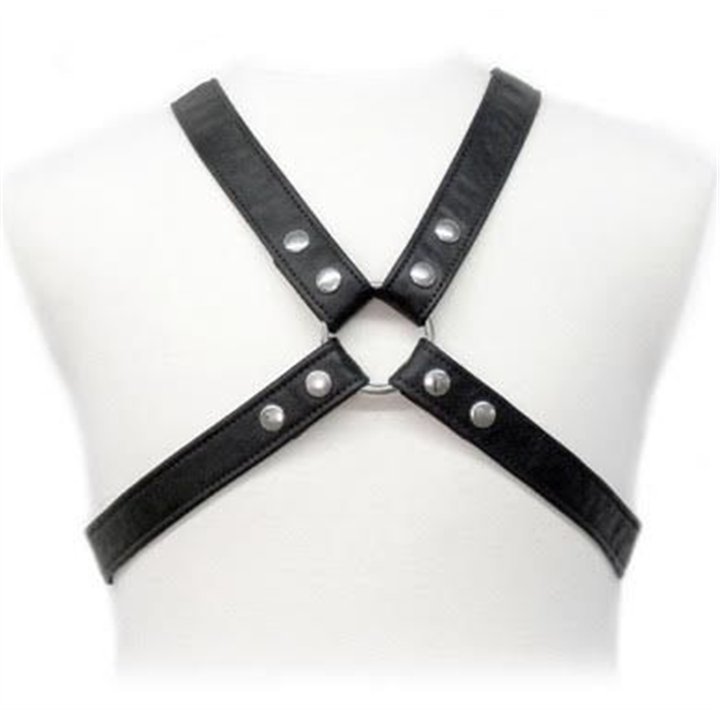 LEATHER BODY - LASIC HARNESS IN GARMENT - D-205472 - Teknashop Ltd