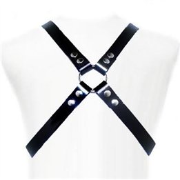LEATHER BODY - BASIC HARNESS - D-205473 - Teknashop Ltd