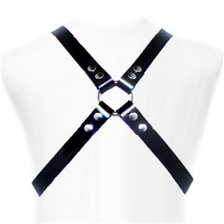 LEATHER BODY - BASIC HARNESS - D-205473 - Teknashop Ltd