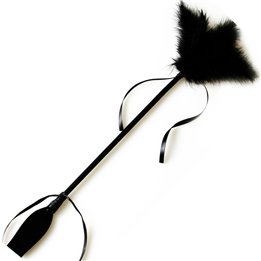 SECRETPLAY - BLACK WHIP & FEATHER - D-212408 - Teknashop Ltd