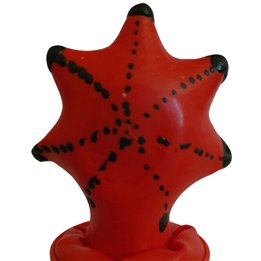 CONDOMERIE - HANDPAINTED NOVELTY CONDOMS STARFISH - D-243249 - Teknashop Ltd