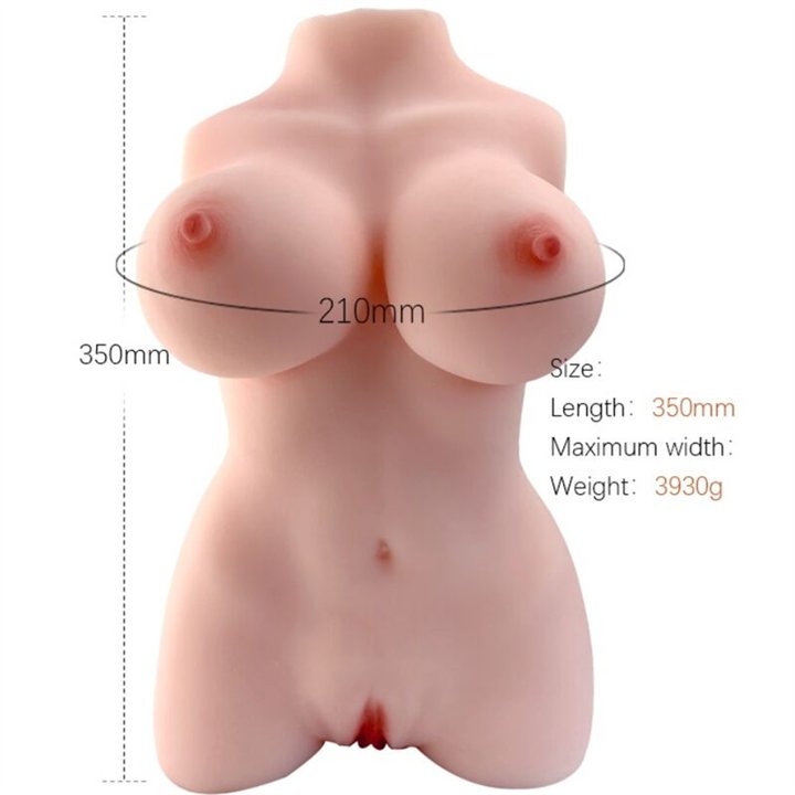 ARMONY - REALISTIC FEMALE TORSO MODEL 3 - D-238259 - Teknashop Ltd