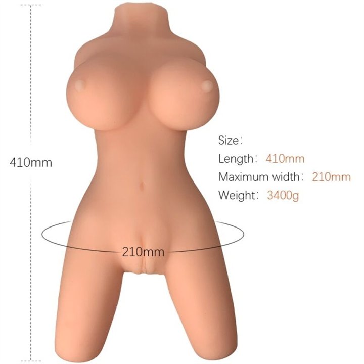 ARMONY - REALISTIC FEMALE TORSO MODEL 8 - D-238264 - Teknashop Ltd