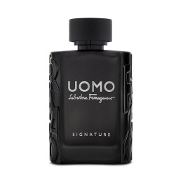 Salvatore Ferragamo, Uomo Signature, Eau De Parfum, For Men, 100 ml