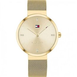 TOMMY HILFIGER Mod. LIBERTY - WW.1782217