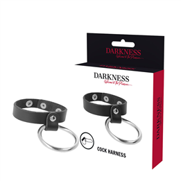 DARKNESS - METAL RING FOR THE PENIS AND TESTICLES - D-226733