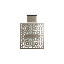 Rayhaan, Terra, Eau De Parfum, For Men, 100 ml
