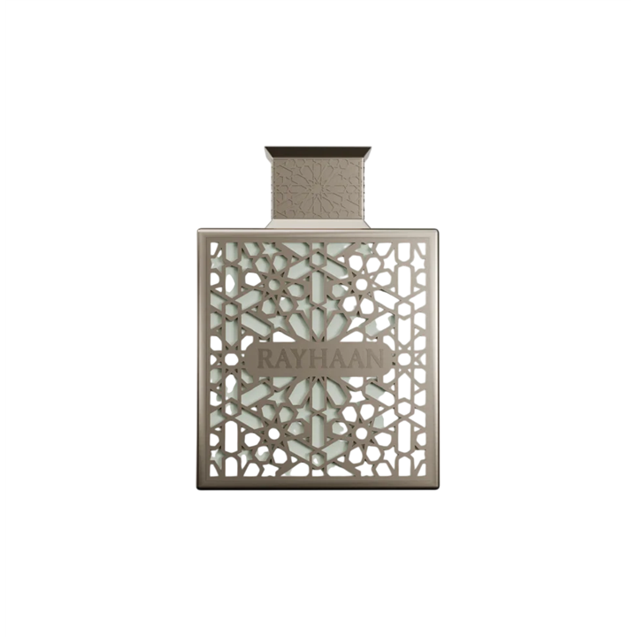Rayhaan, Terra, Eau De Parfum, For Men, 100 ml