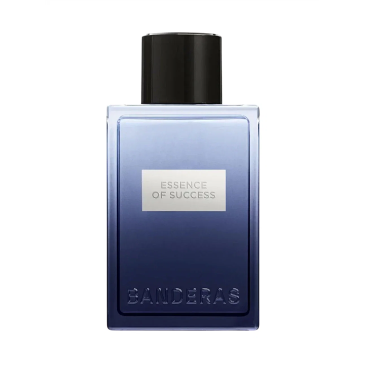 Antonio Banderas, Essence of Success, Eau De Toilette, For Men, 100 ml