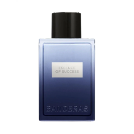 Antonio Banderas, Essence of Success, Eau De Toilette, For Men, 100 ml