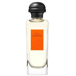 Hermès Eau D'Hermès Eau De Toilette Spray 100ml - unisex - Teknashop Ltd