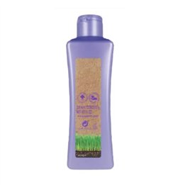 Salerm Cosmetics Biokera Grapeology Shampoo 300ml - unisex