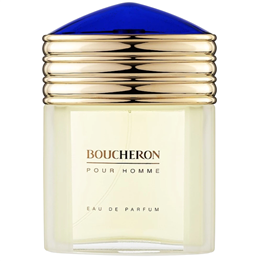 Boucheron, Boucheron, Eau De Parfum, For Men, 100 ml - Teknashop Ltd
