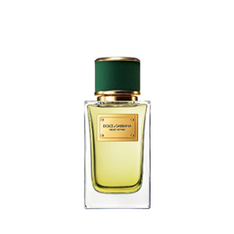 Dolce & Gabbana, Velvet Vetiver, Eau De Parfum, Unisex, 100 ml