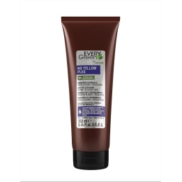 Dikson, Everygreen No Yellow Plex, Hair Treatment Cream Mask, Anti-Yellow, 250 ml