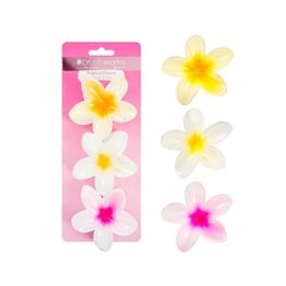 Set Trio, Brushworks, Brushworks, Hair Clip, Tropical Flower, 3 pcs