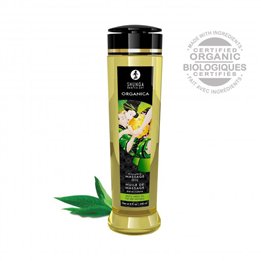 Organic Massage Oil Green Tee 240 ml - 697309013116