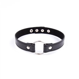 Collar with Hoop Adjustable 38,2 cm Black - 843658379378