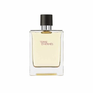 Hermes Terre D'Hermes Eau De Toilette Spray 100ml - unisex - Teknashop Ltd