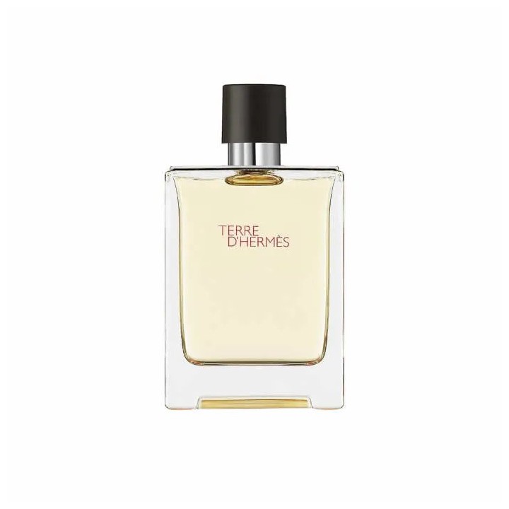 Hermes Terre D'Hermes Eau De Toilette Spray 100ml - unisex - Teknashop Ltd