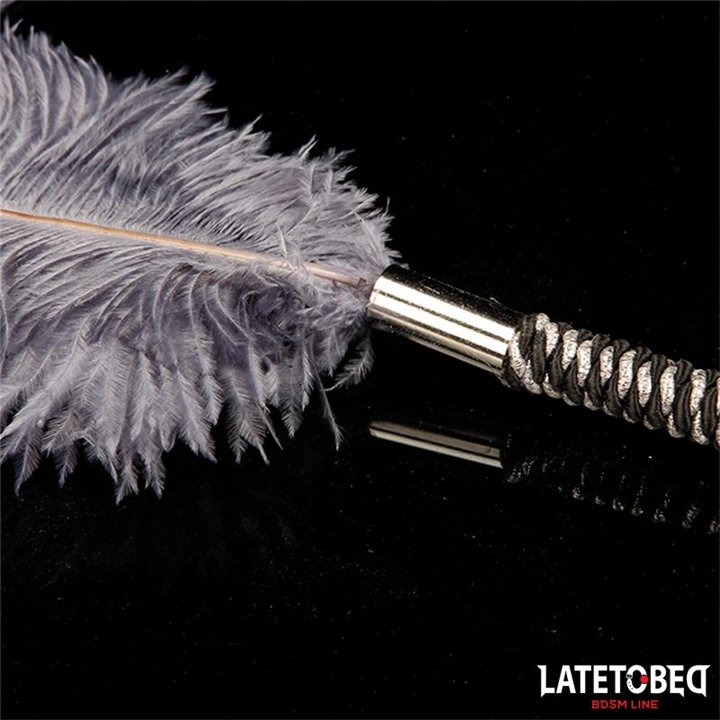 Ostrich Feather 44 cm - 8436615009862 - Teknashop Ltd
