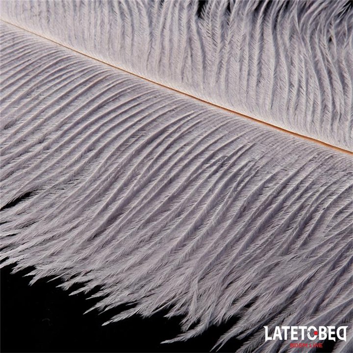 Ostrich Feather 44 cm - 8436615009862 - Teknashop Ltd