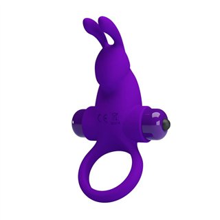 Vibrating Rabbit Cock Ring - BI-210204-1 - Teknashop Ltd